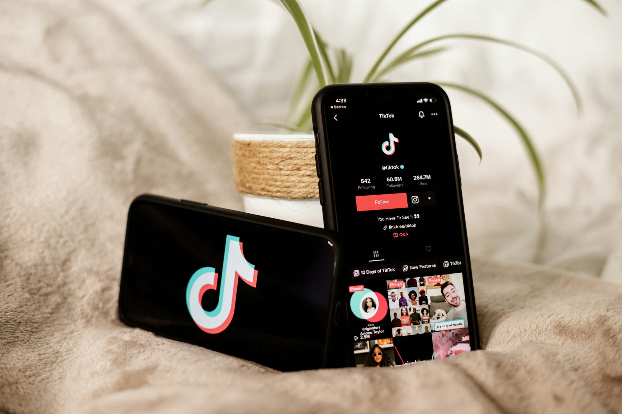 Quick Insights for ReesaTeesa, the Latest Viral TikTok Star