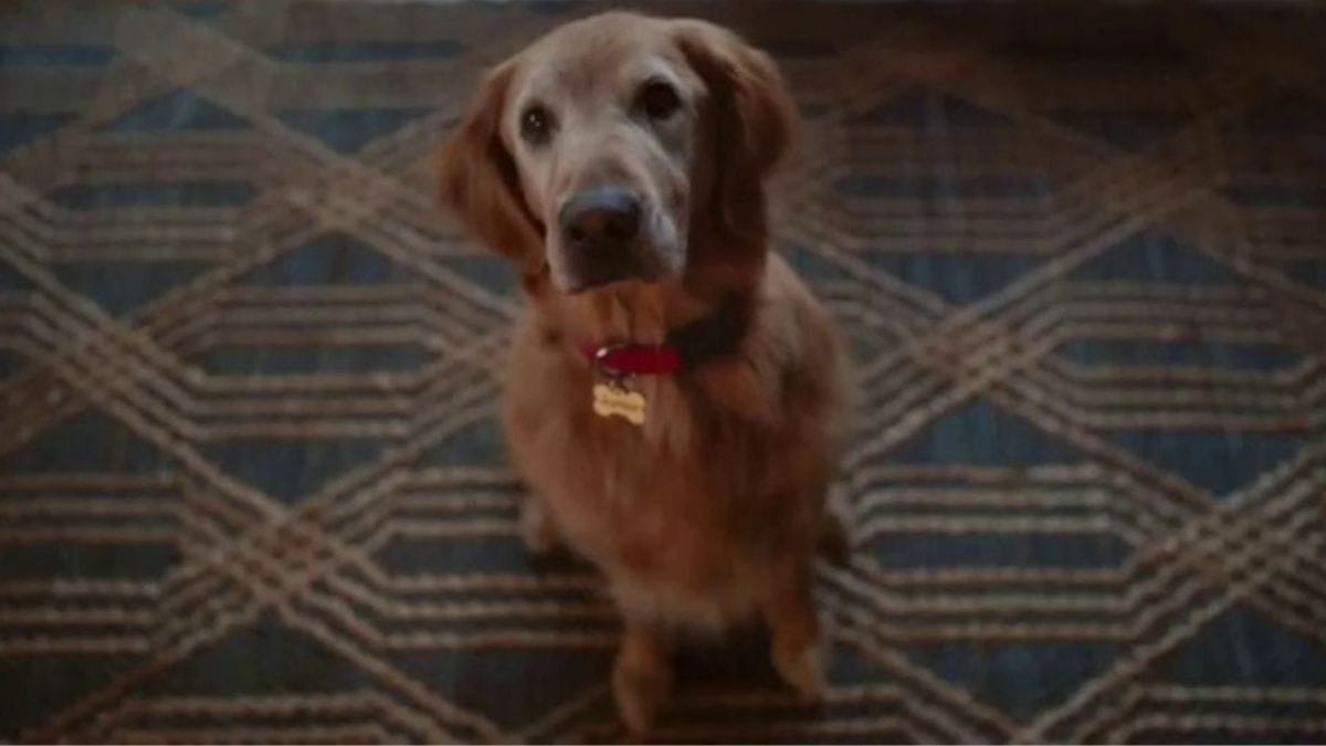 iSpot Data Shows Holiday Spending Up As Retailers Root for a Greener Holiday Season