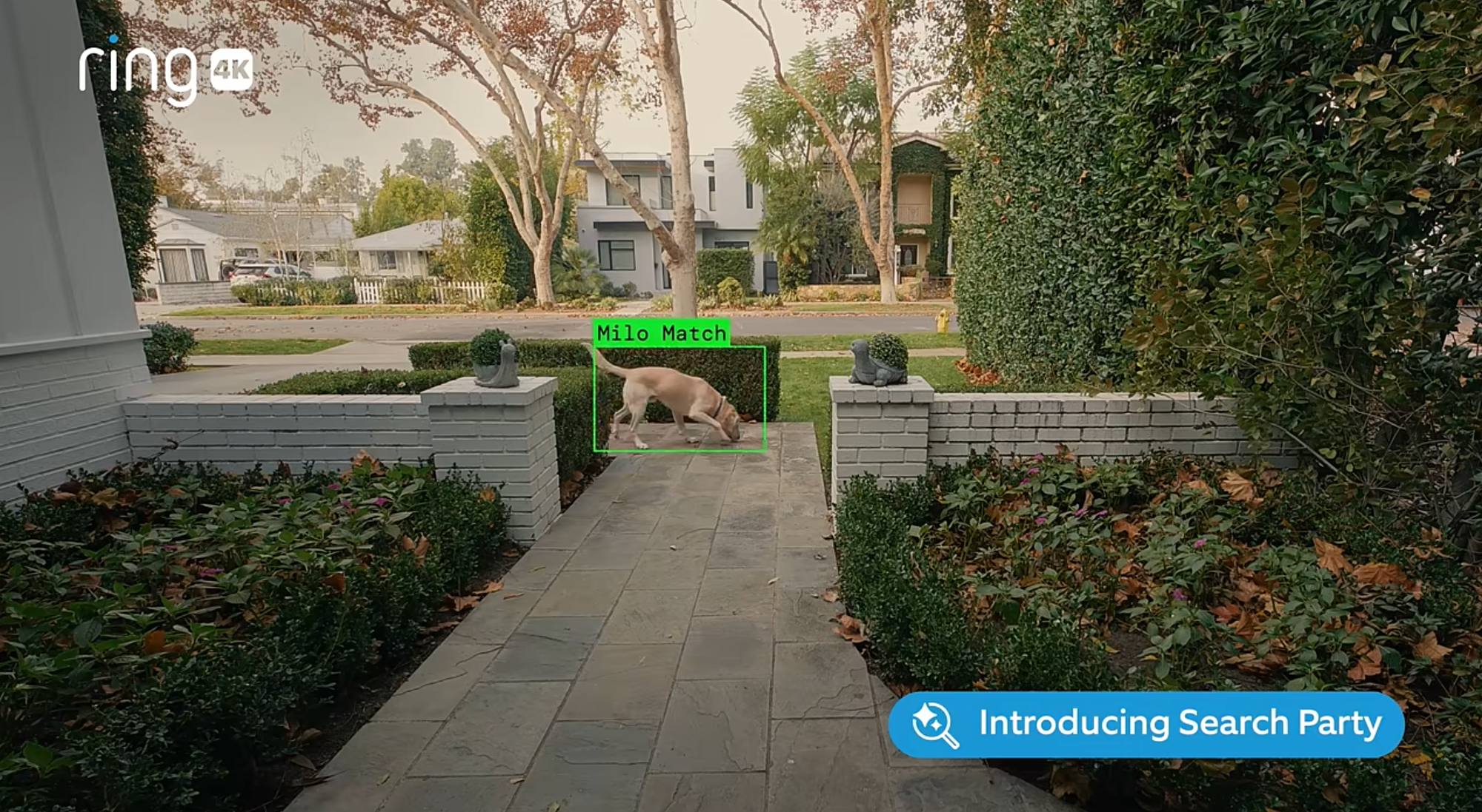 Three of the Most-Liked Super Bowl Pre-Releases Right Now