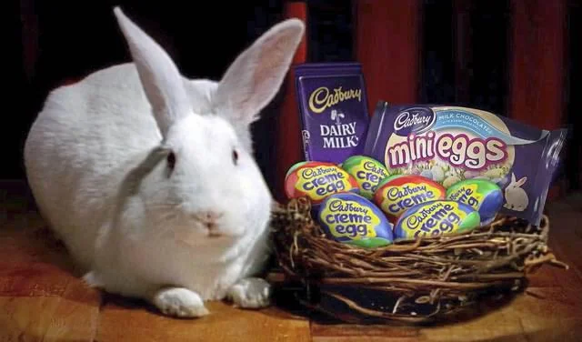 Why Is Cadbury STILL Airing Their Creme Egg Spots 40+ Years On?