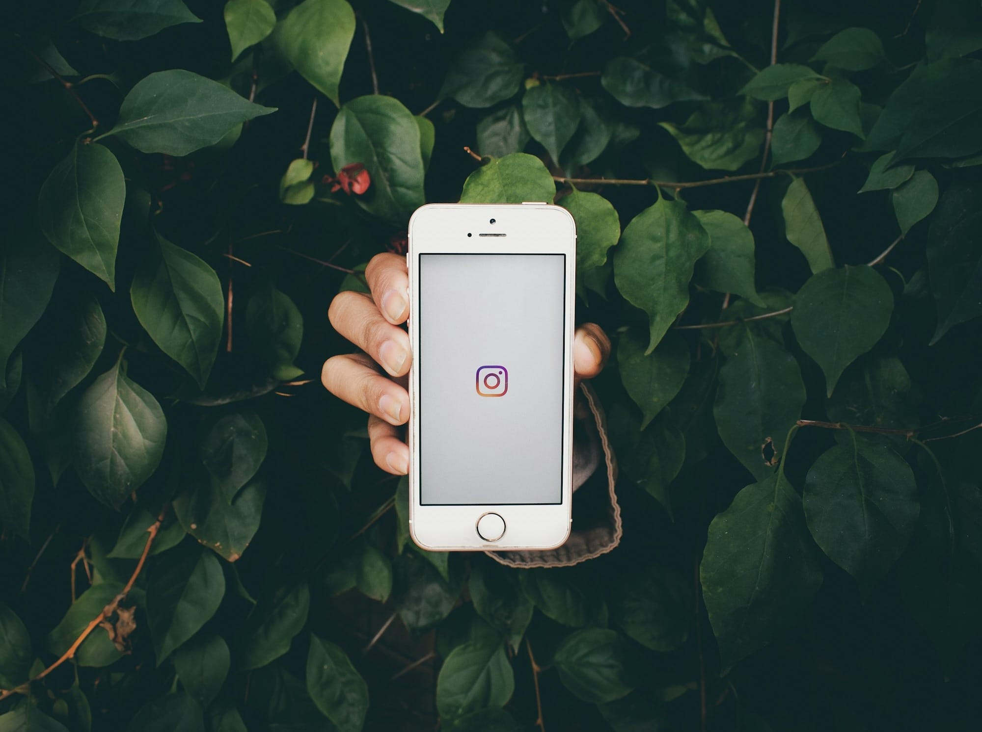 LATAM News Publishers Are Posting Too Late On Instagram