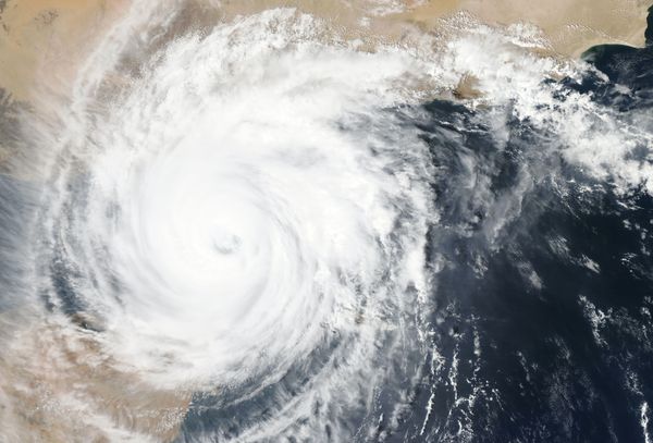 Coverage of Hurricane Idalia Boosts Weather Channel Into Network Ranking