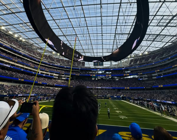 NFL Season's Top Advertisers: Insurance Wins